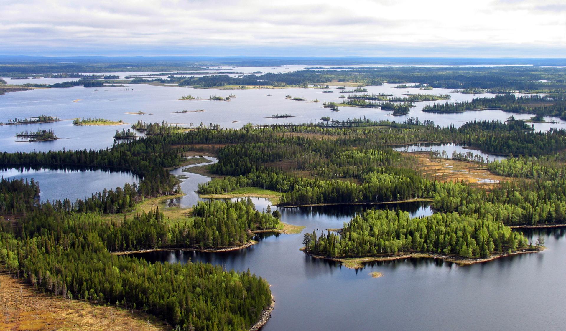 High conservation valuable forests in Russia