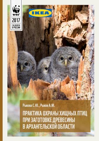 Практика охраны хищных птиц при заготовке древесины в Архангельской области